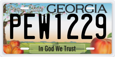 GA license plate PEW1229