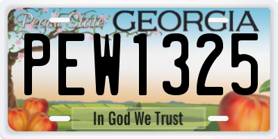 GA license plate PEW1325