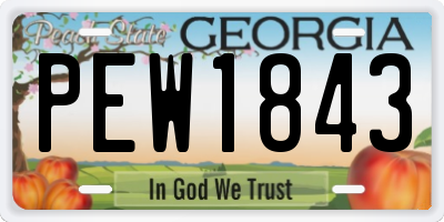 GA license plate PEW1843