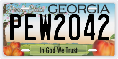 GA license plate PEW2042