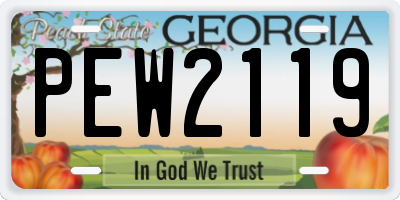 GA license plate PEW2119
