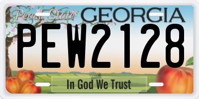 GA license plate PEW2128