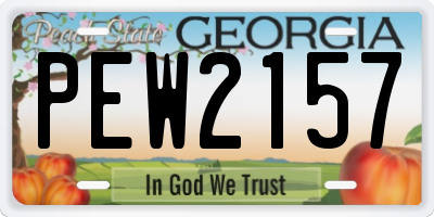 GA license plate PEW2157