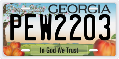 GA license plate PEW2203