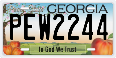 GA license plate PEW2244
