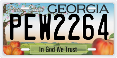 GA license plate PEW2264