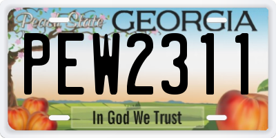 GA license plate PEW2311