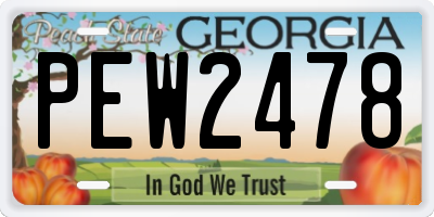 GA license plate PEW2478