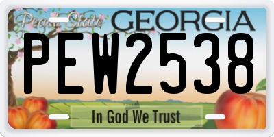 GA license plate PEW2538