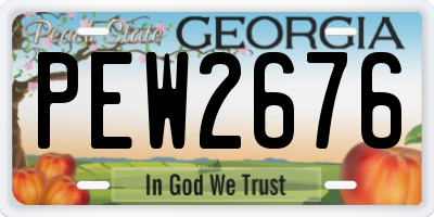 GA license plate PEW2676