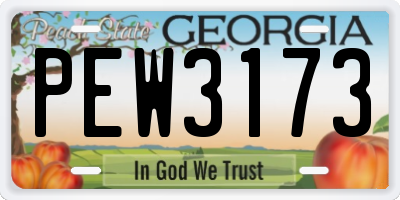 GA license plate PEW3173