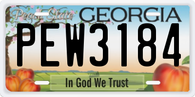 GA license plate PEW3184