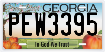 GA license plate PEW3395