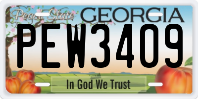 GA license plate PEW3409