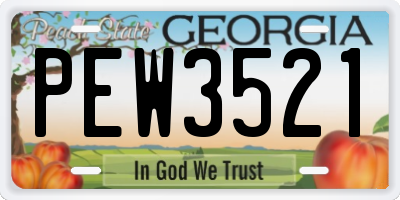 GA license plate PEW3521