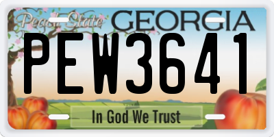 GA license plate PEW3641