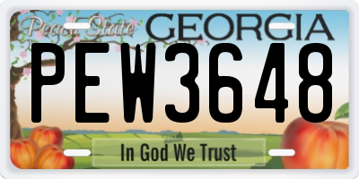 GA license plate PEW3648