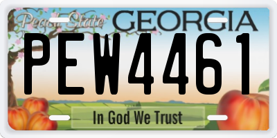 GA license plate PEW4461