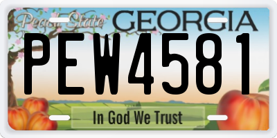 GA license plate PEW4581