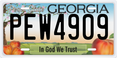 GA license plate PEW4909