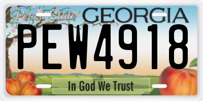 GA license plate PEW4918