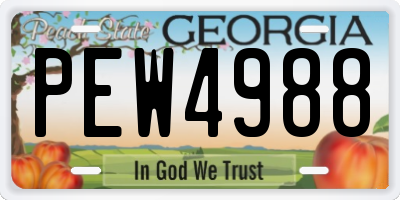 GA license plate PEW4988