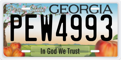 GA license plate PEW4993