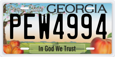 GA license plate PEW4994