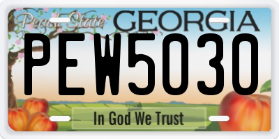 GA license plate PEW5030