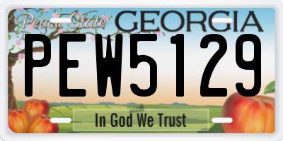 GA license plate PEW5129