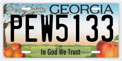GA license plate PEW5133