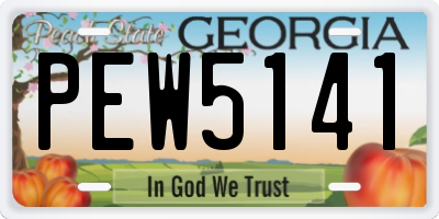 GA license plate PEW5141