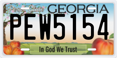 GA license plate PEW5154