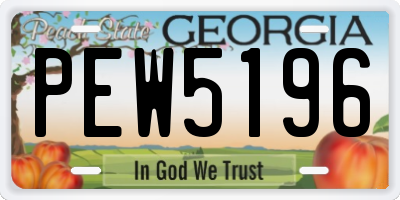 GA license plate PEW5196