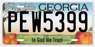 GA license plate PEW5399