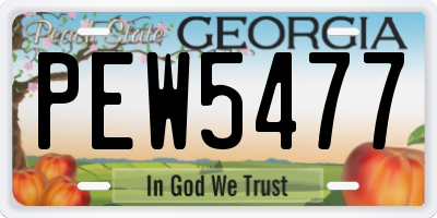 GA license plate PEW5477