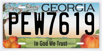 GA license plate PEW7619