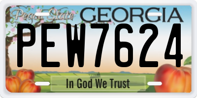 GA license plate PEW7624