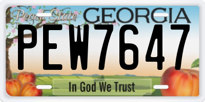 GA license plate PEW7647