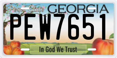 GA license plate PEW7651