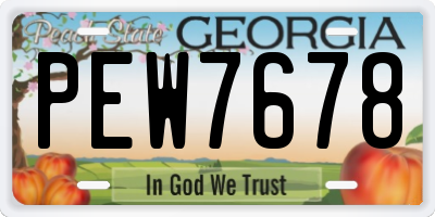 GA license plate PEW7678