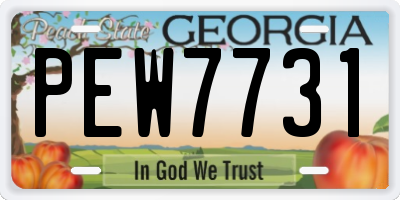 GA license plate PEW7731