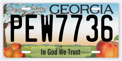 GA license plate PEW7736