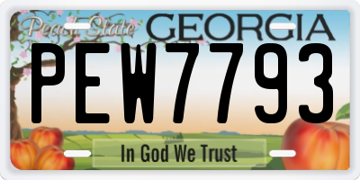GA license plate PEW7793