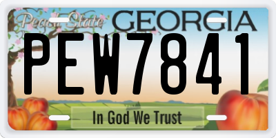GA license plate PEW7841