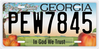 GA license plate PEW7845
