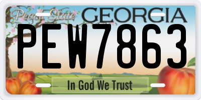 GA license plate PEW7863