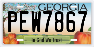 GA license plate PEW7867