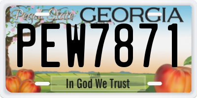 GA license plate PEW7871
