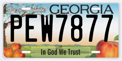 GA license plate PEW7877